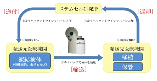ステムセル研究所、臨床検体の超低温輸送・保管サービス