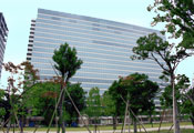 中野セントラルパーク 中野セントラルパーク