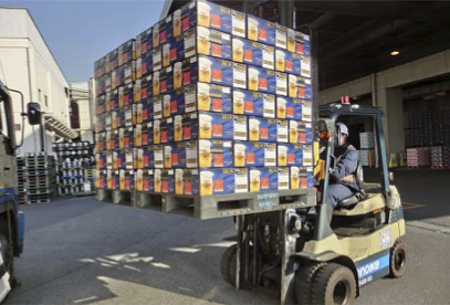 国内ビール4社、パレット共同使用の取組み強化 | LOGISTICS TODAY