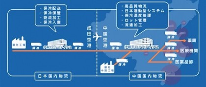 日中医薬品物流のフロー図