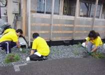 宮城県石巻で仮設住宅の除草作業に従事するDHL従業員ボランティア