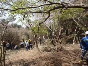 日通、静岡「日通の森」で新入社員が森林育成活動