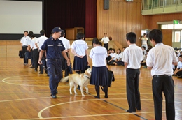 名古屋税関、中学校の薬物乱用防止教室で講演