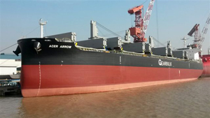 川崎重工、中国でセミオープンハッチ型ばら積運搬船引渡し