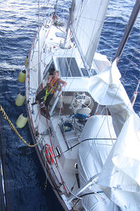 日本郵船、北太平洋漂流のヨットから1人救助