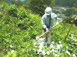 リコーロジ、森林育成活動に社員と家族47人参加