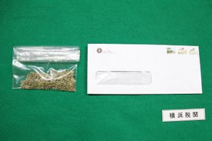 横浜税関、国際郵便利用した大麻密輸相次いで告発