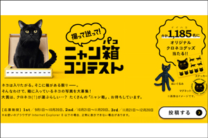 ヤマト 箱入りネコ ニャン箱 コンテスト開催中