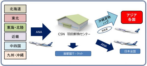 ANAカーゴ、羽田の鮮魚空輸拠点をサポート