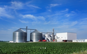 三井物産、非遺伝子組換穀物の米集荷会社に資本参加