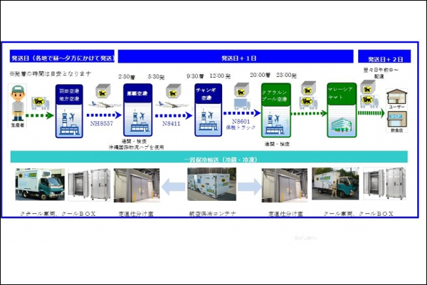 （出所：ヤマト運輸）