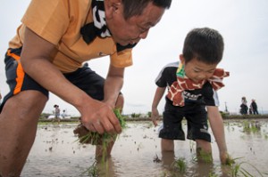 SGHDの田植え体験が10周年、参加者数3000人に