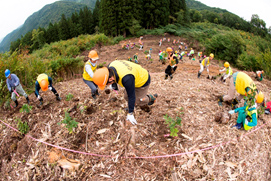 日通、山形｢日通の森｣で10年目の森林育成活動