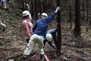 徳島県ト協、会員ら41人で森林活動に参加
