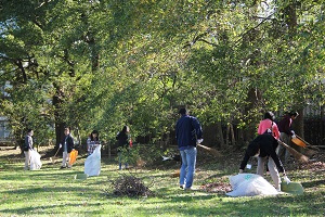 日通商事、旧芝離宮恩賜庭園で4回目の清掃活動