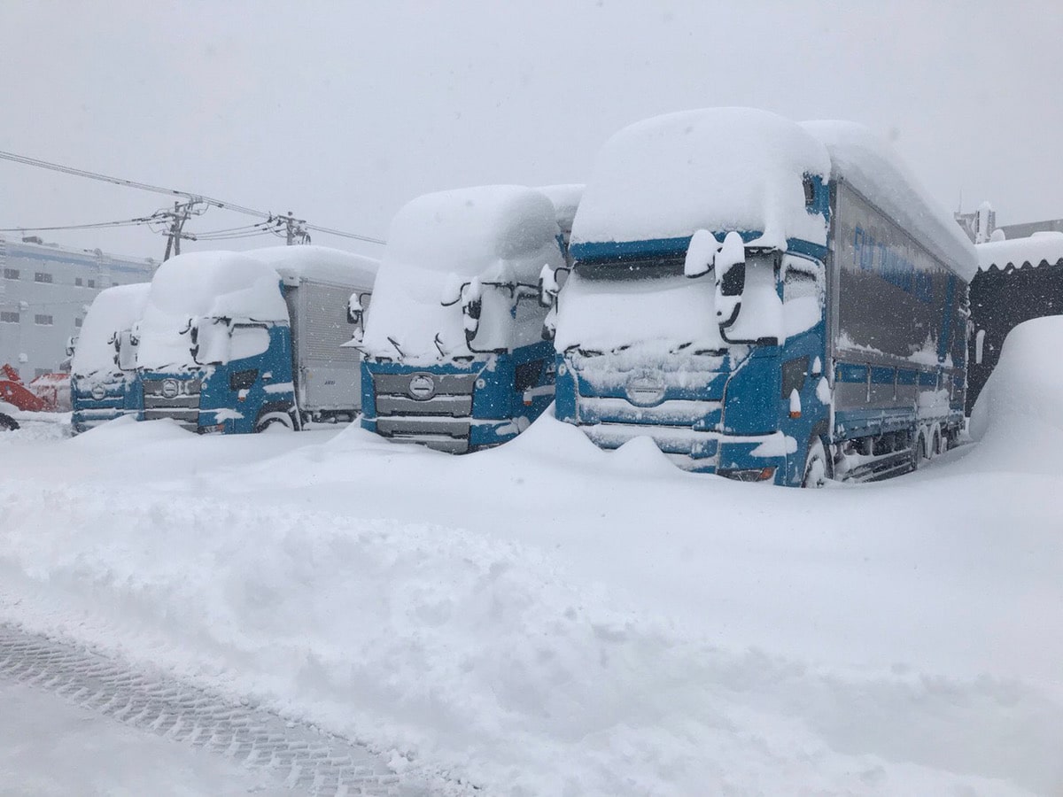 道 福井 ネット 雪