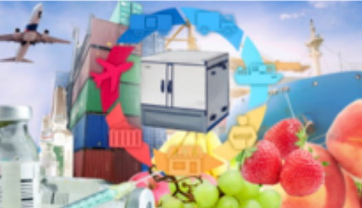 果物を通常コンテナで海上輸送、神戸市が実証 | LOGISTICS TODAY