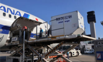 ANAなど4社、北海道乳製品の沖縄即日空輸を拡大